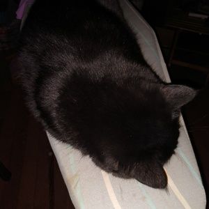 Meet your Posher, Nancy